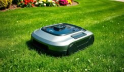 Robot Lawn Mower Grass Health Benefits Robot Lawn Mower Grass Health Benefits