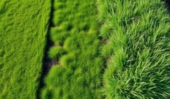 Uneven Lawn Robot Mower Comparison Uneven Lawn Robot Mower Comparison